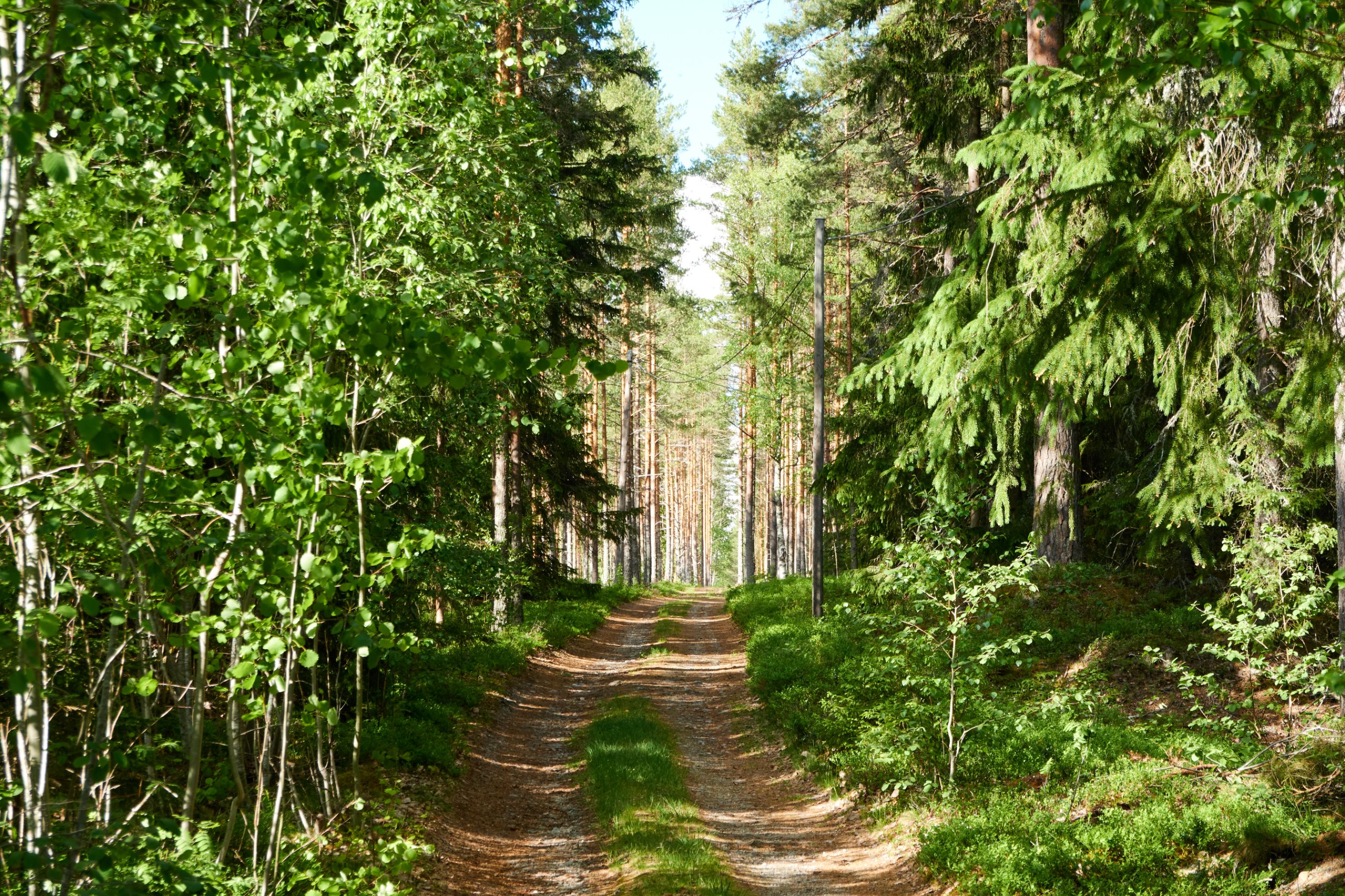 2024 05 24 Sverige 0102